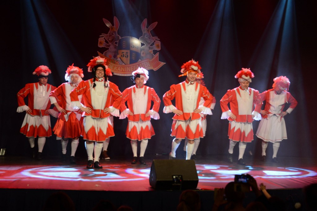 ../Images/Dansmarieke festival 2015 273.jpg
